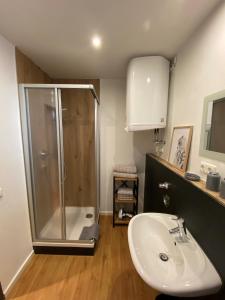 a bathroom with a shower and a white sink at Altstadtwohnung - Old Town in Trostberg an der Alz +33 photos