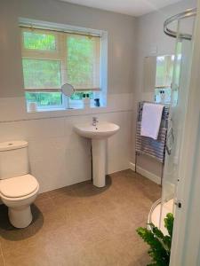 a bathroom with a toilet and a sink at Quiet coastal cottage, perfect for walkers due to its natural location in Lymington