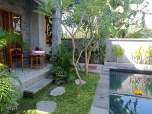 a garden with a small tree next to a pool at Araya villa saba in Saba