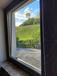 Vonkajšia záhrada v ubytovaní Mountain View near Kaprun - Steinbock Lodges