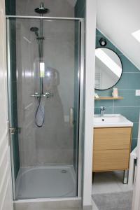 y baño con cabina de ducha y lavabo. en Carre Saint Pierre & La table d'hôte, en Marey-lès-Fussey