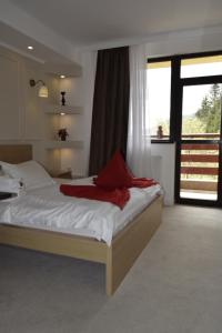 Afbeelding uit fotogalerij van Pensiunea Clasic in Buşteni +32 foto's