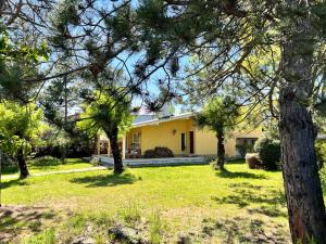 a yellow house with trees in the yard at La Maliciosa in Moralzarzal