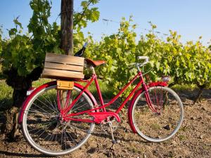 a red bike parked in front of a bunch of grapes at Self-Check-in Hotel VinoQ Zistersdorf in Zistersdorf