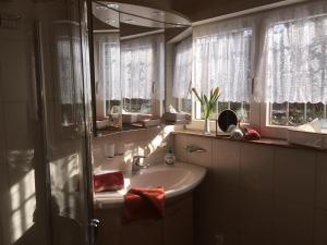 un bagno con lavandino e specchio di Landhaus Friedel a Baiersbronn Altre 53 foto