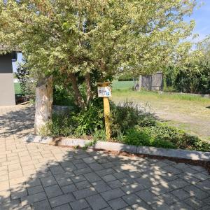 Vonkajšia záhrada v ubytovaní Wolfis Appartement