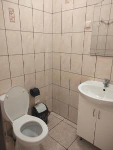 ein Bad mit einem WC und einem Waschbecken in der Unterkunft Hotel Vatra in Lwiw
