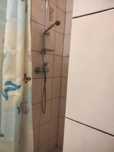 a shower with a shower head in a bathroom at Hotel Vatra in Lviv