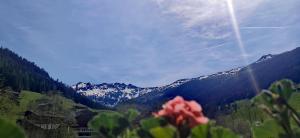 a view of a mountain range with a red flower at Alpbach Loft in Alpbach