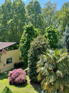 Zahrada ubytování Parco Hotel Sassi