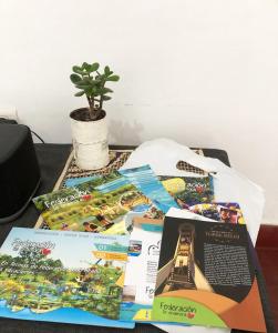 uma mesa com um monte de brochuras e uma planta em Casa de vacaciones en Federación em Federación