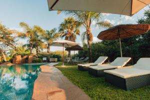 - une piscine bordée de chaises longues et de parasols dans l'établissement Pecan Bush Lodge, à Magaliesburg