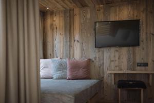 TV a/nebo společenská místnost v ubytování Hotel Andermax