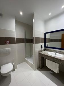 a bathroom with a toilet and a sink and a shower at Hotel Doi Taurasi in Afumaţi