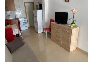 Televízia a/alebo spoločenská miestnosť v ubytovaní Apartment Nuka - One Bedroom Apartment with Terrace