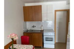 Kuchyňa alebo kuchynka v ubytovaní Apartment Nuka - One Bedroom Apartment with Terrace