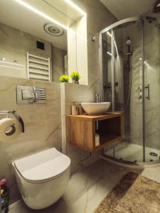 a bathroom with a toilet and a sink and a shower at Apartament CITY Ustroń in Ustroń