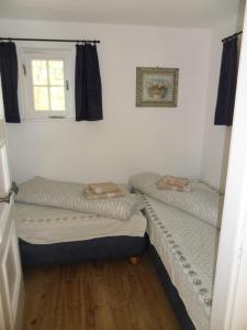 2 Einzelbetten in einem Zimmer mit Fenster in der Unterkunft Tiny House in Thermalbad Wiesenbad