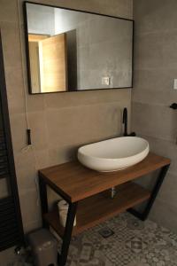 een badkamer met een wastafel en een spiegel bij COUNTRY HOUSE ERDUT in Erdut