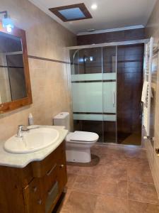 a bathroom with a toilet and a sink and a shower at EL RINCON DE PARRES in Parres de Llanes