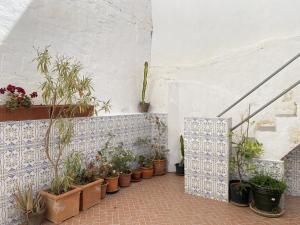 Fotografia z galérie ubytovania Casa San Juan 13 Casasol Centro v destinácii Nerja