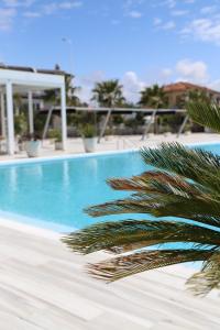 a palm tree sitting next to a swimming pool at Hotel Villa Pascucci in Durrës