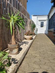 a plant in a pot next to a fence at Übernachtung an der A2 in Braunschweig