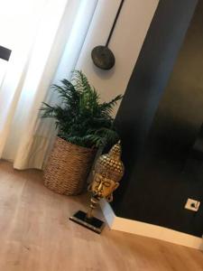 Kép Nuevo Apartamento en Playa de las Canteras szállásáról Las Palmas de Gran Canariában a galériában