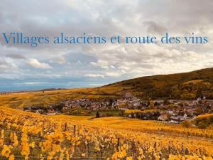 une vue sur une ville dans un champ dans l'établissement NEW L'industr'ILL au cœur De l'Alsace, à Sélestat