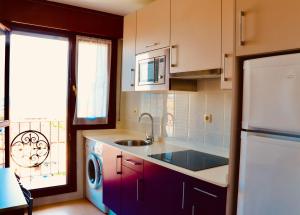 Kuchyňa alebo kuchynka v ubytovaní Apartaments La Reserva Premium