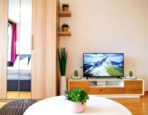 Jonas Deluxe Apartment Panoramablick في باد غويسرن: غرفة معيشة مع تلفزيون على دولاب