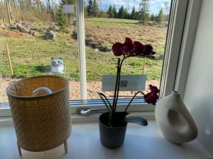 Skog Fegen nära Ullared外面的花园
