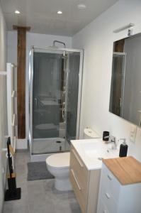 a bathroom with a shower and a toilet and a sink at Le Studio du Tanneur Selestadien in Sélestat