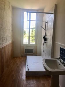 a bathroom with a shower and a sink and a window at La Maison du Port in Mortagne-sur-Gironde +16 photos