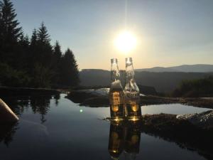 deux bouteilles de bière dans une flaque d'eau dans l'établissement 1 Bed Cabin in the Magical Galloway Forest Park, à Newton Stewart