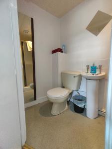La salle de bains est pourvue de toilettes et d'un lavabo. dans l'établissement Plymouth Backpackers, à Plymouth