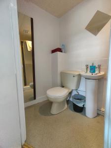 a bathroom with a toilet and a sink at Plymouth Backpackers in Plymouth