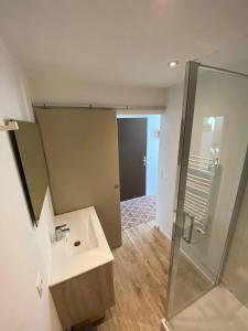 uma casa de banho com um lavatório e um chuveiro em studio duplex - Bord de mer em Ouistreham