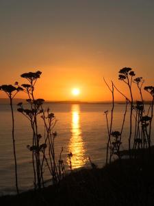 een zonsondergang boven het water met bloemen op de voorgrond bij Luxury Woodland Retreat Holiday Home - Shorefield Country Park in Downton