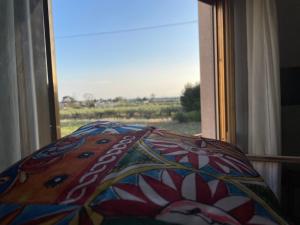 a window looking out at a view of a field at Sunset in Trapani