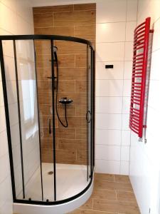 a shower with a glass door in a bathroom at Willa pod Aniołem in Szczawnica +11 photos