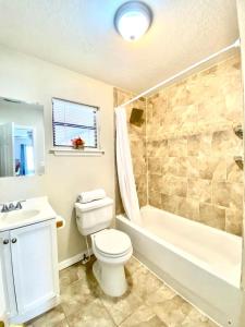 a bathroom with a toilet and a tub and a sink at Two Fully Equipped Apartments and a Studio 5 miles from the beach in St. Petersburg