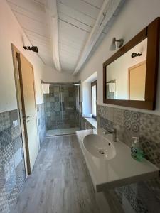 ein Bad mit einem Waschbecken, einem Spiegel und einer Dusche in der Unterkunft Antico Borgo Buonanotte in San Mauro Castelverde