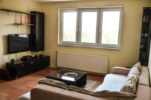- un salon avec un canapé, une télévision et 2 fenêtres dans l'établissement Helena Apartments, à Divčibare