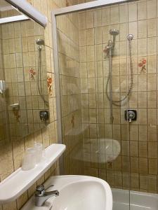 La salle de bains est pourvue d'une douche et d'un lavabo. dans l'établissement Hotel Gasthof WASTL, à Appiano sulla Strada del Vino