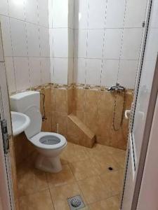 een kleine badkamer met een toilet en een wastafel bij CentrRooms-DS in Struga