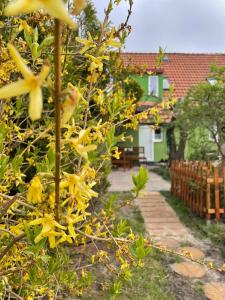a tree with yellow flowers in front of a house at Domek Zielony in Unieście