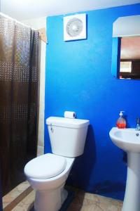 Un baño de Twin Fin Hostels