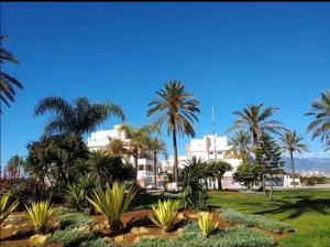 Photo de la galerie de l'établissement Playa Serena Zen, à Roquetas de Mar