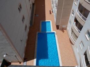 Galeriebild der Unterkunft apartamento soleado, 1 dormitorio con balcón, piscina y garage in Torrevieja